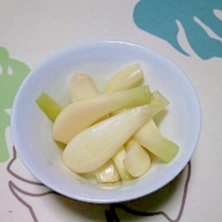 塩らっきょう++